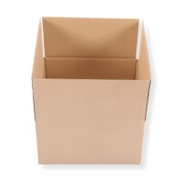 Faltkarton 270 x 270 x 150 mm 2