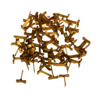 Flachkopfklammern 19 mm – messingbeschichtet – f