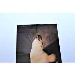 Schutzhülle Fotoformat, 9 x 13 cm, Klappe mit Klebeverschluss, transparent
