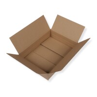 Karton 350 x 250 x 80 mm / DHL Kleinpaket 2