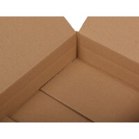 Karton 350 x 250 x 80 mm / DHL Kleinpaket 3