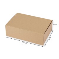 Versandkarton "DHL Kleinpaket" 240 x 160 x 80 mm, 